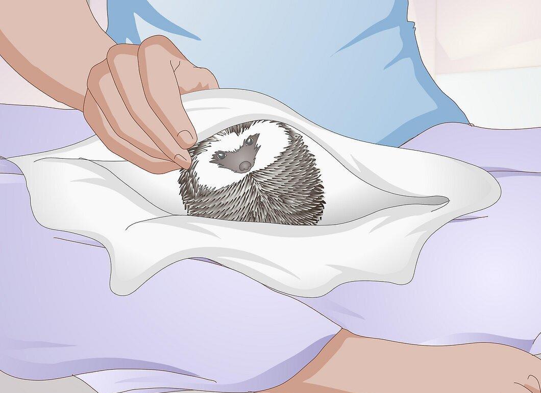 Step 3
