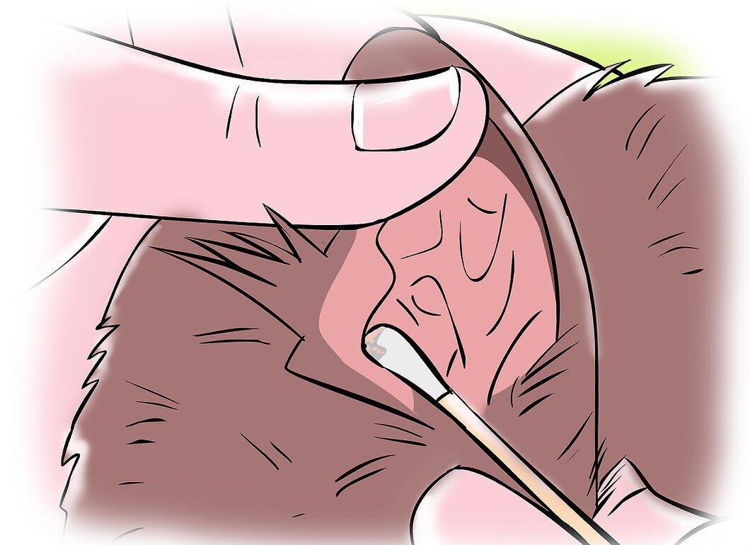 Step 3