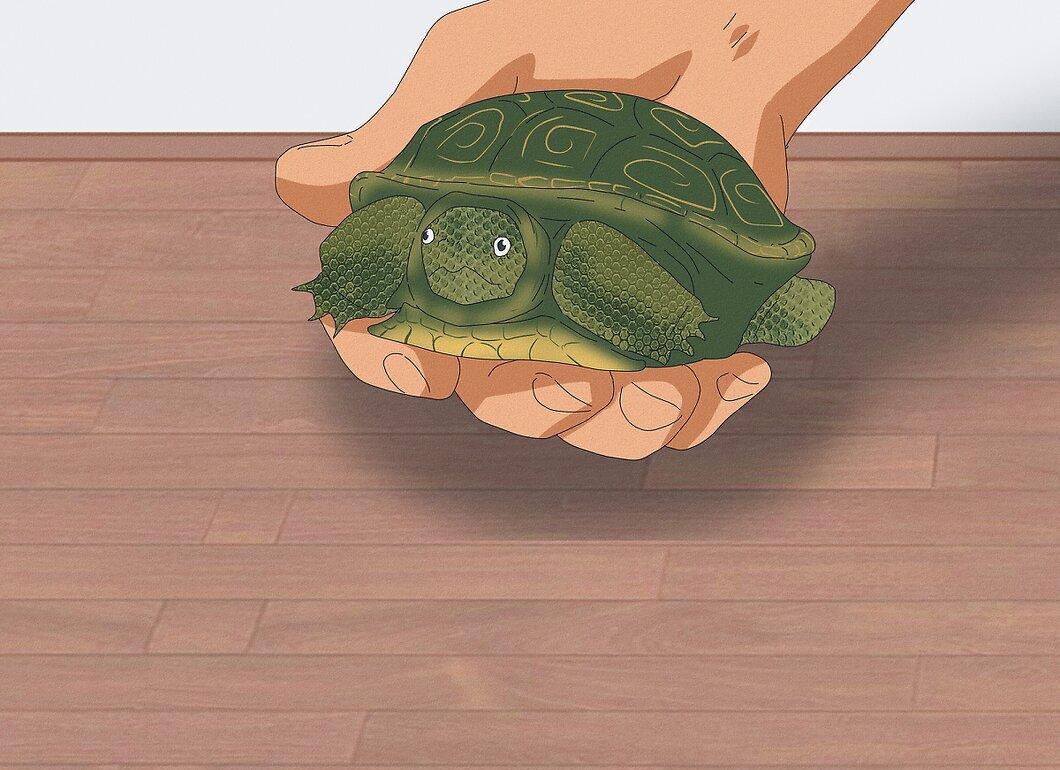 Step 3