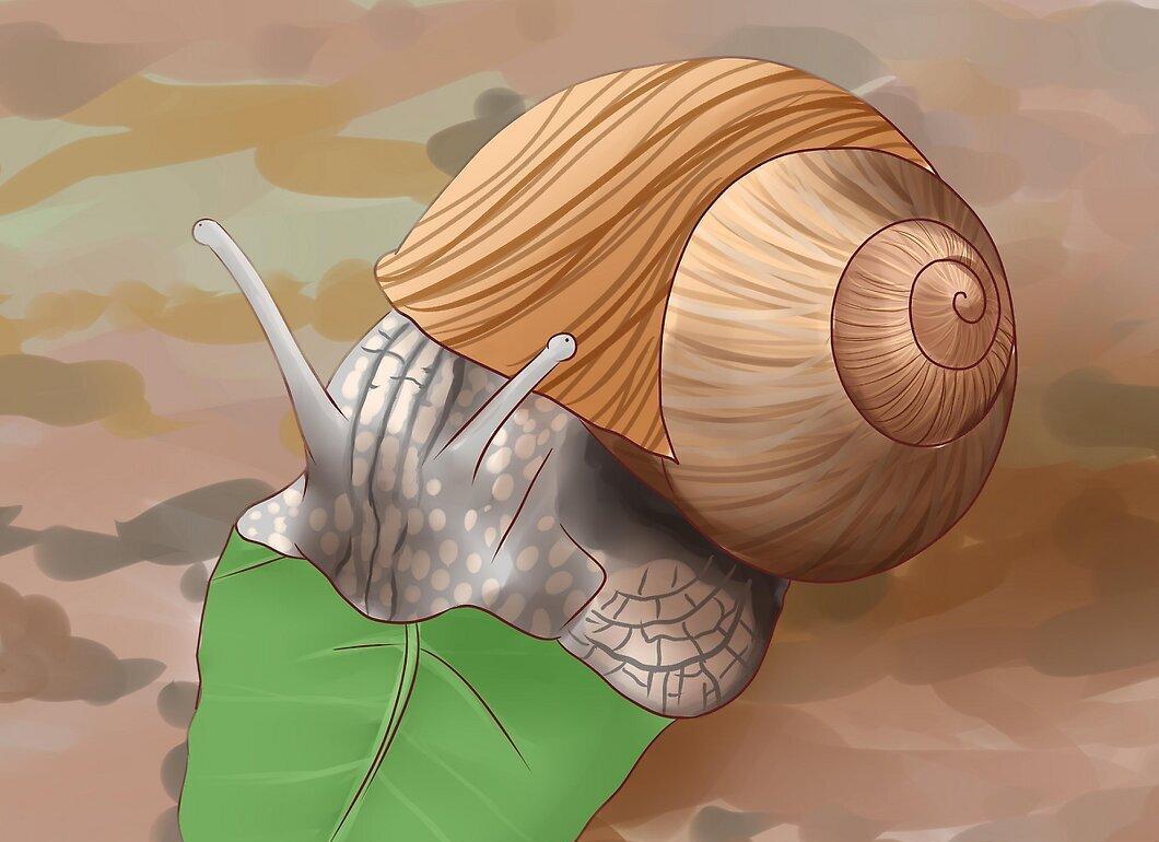 Step 3