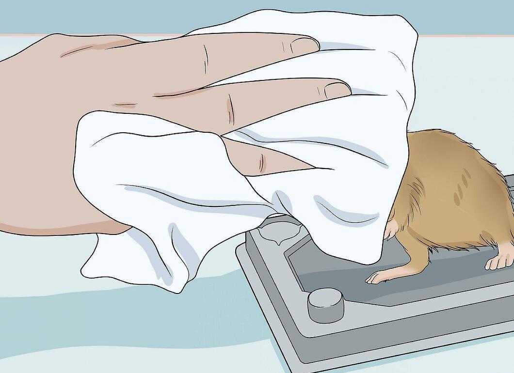 Step 3