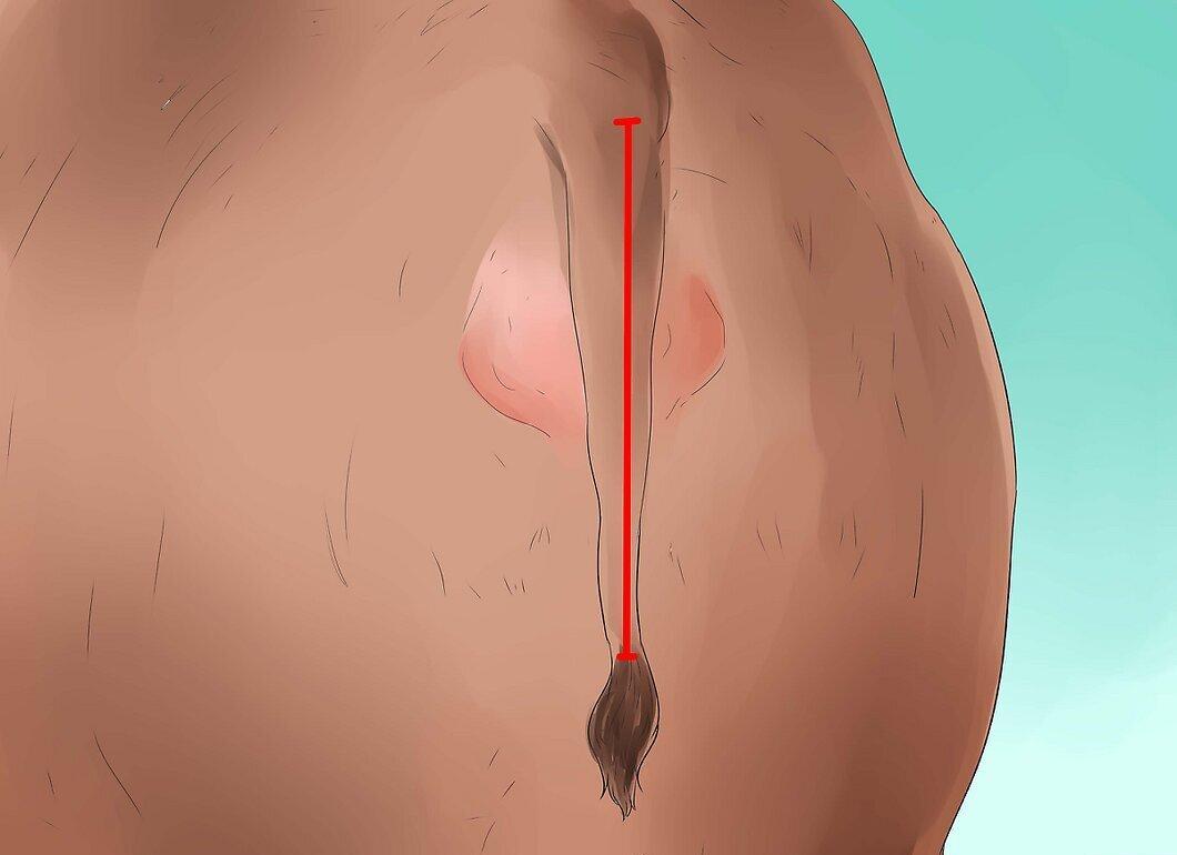 Step 3