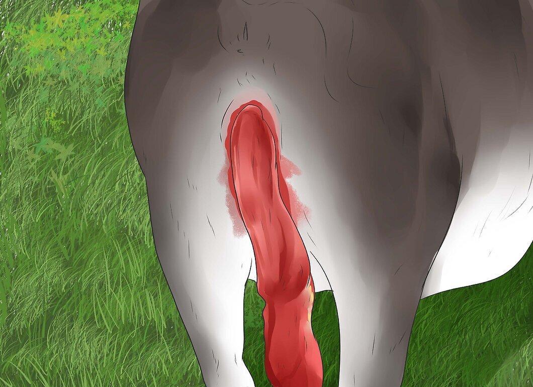 Step 3