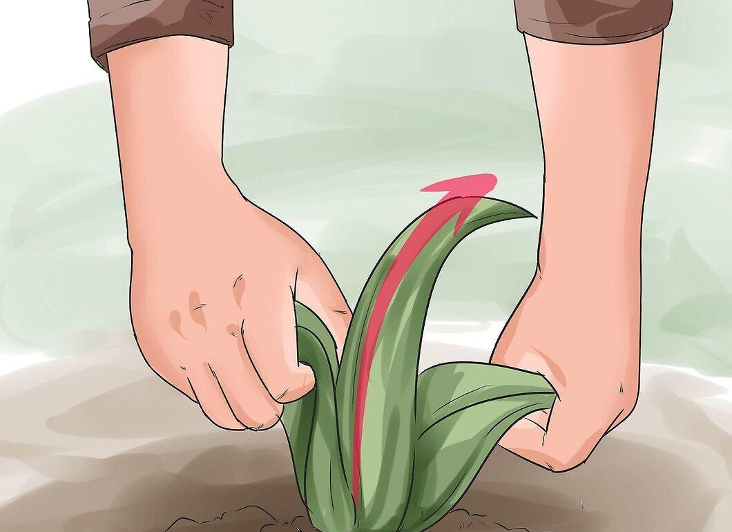Step 3