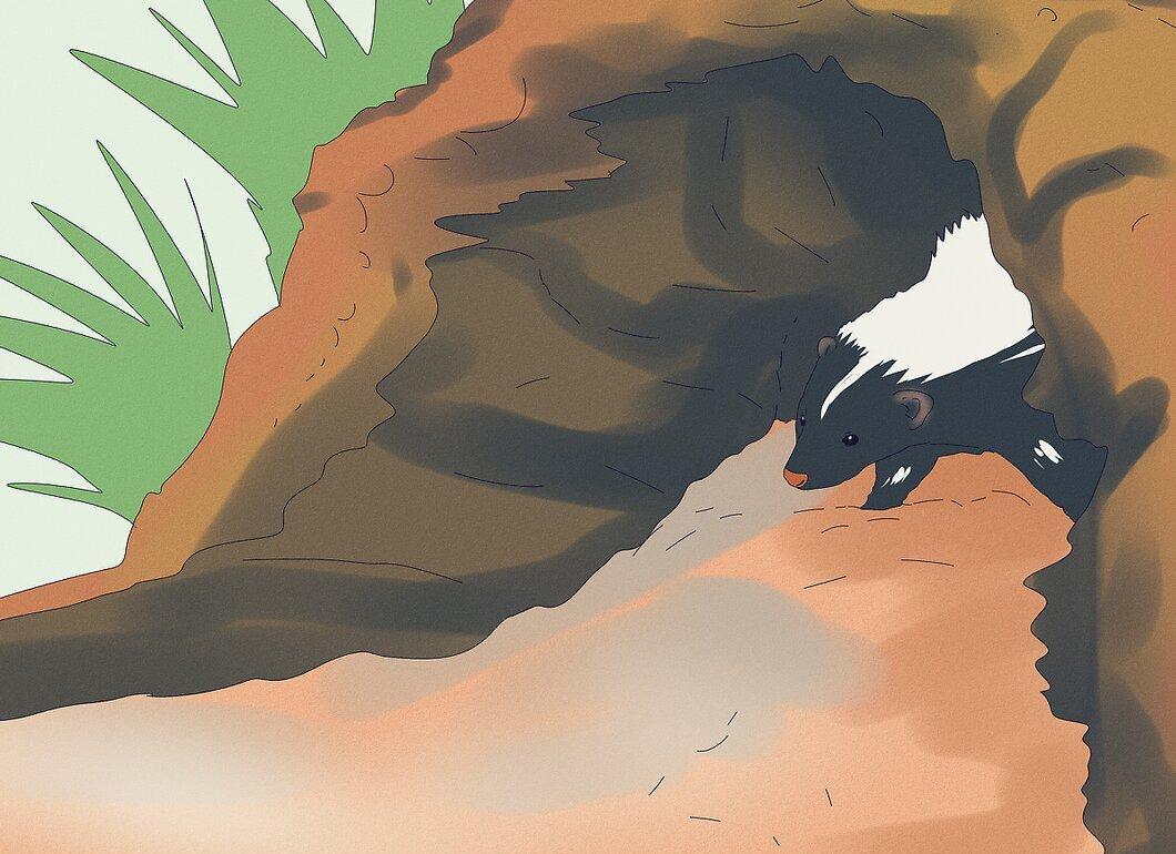 Step 4