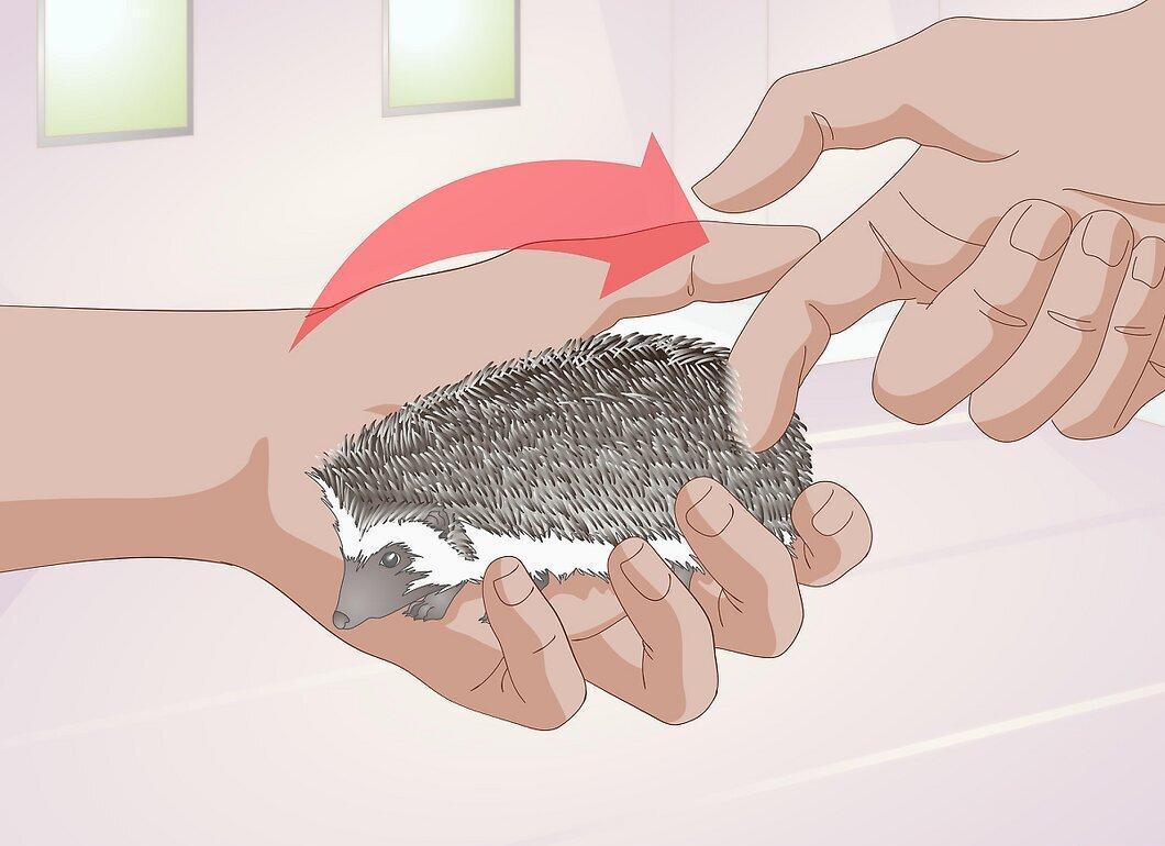 Step 4