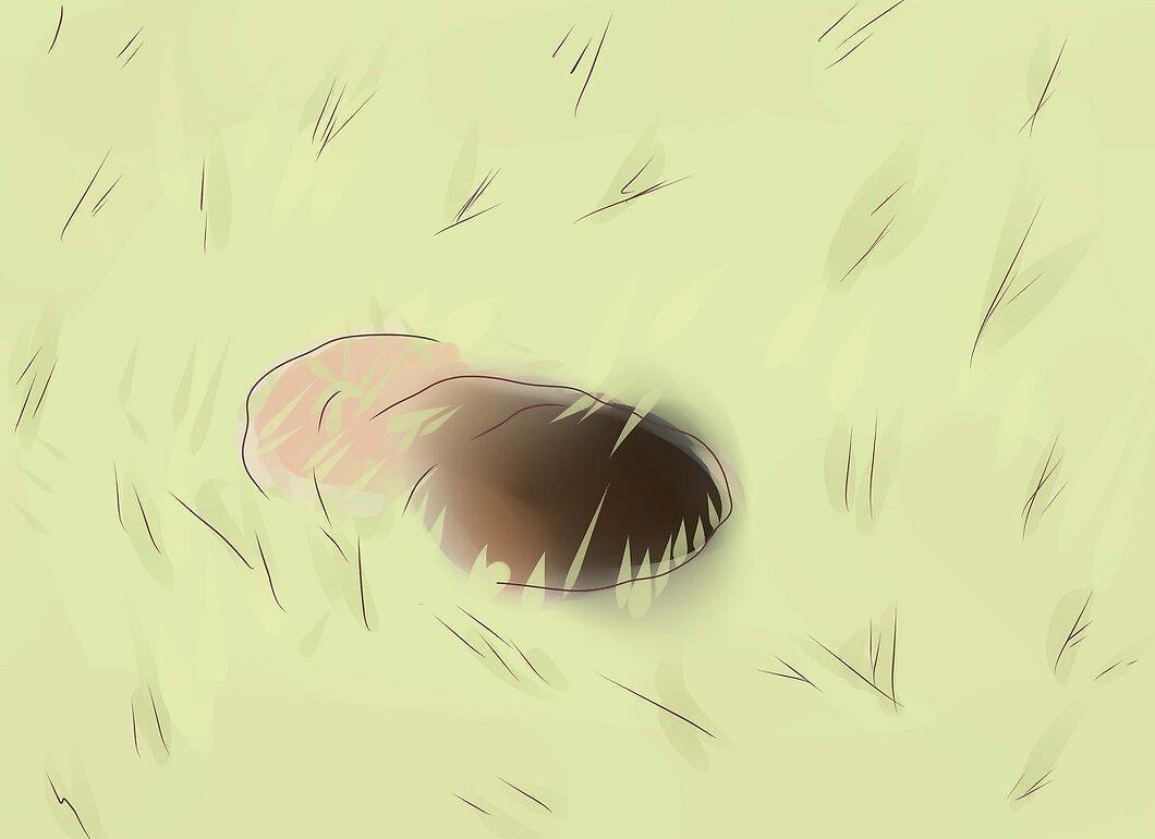 Step 4