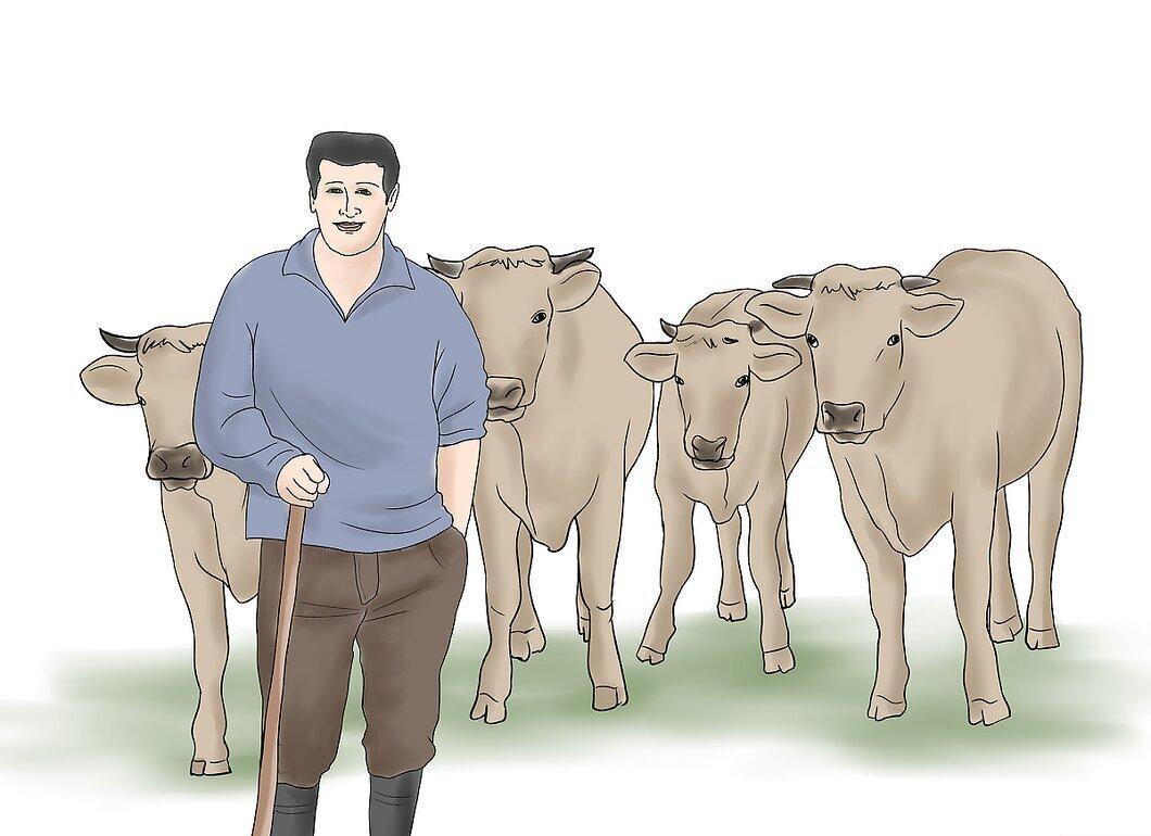 Шаг 4