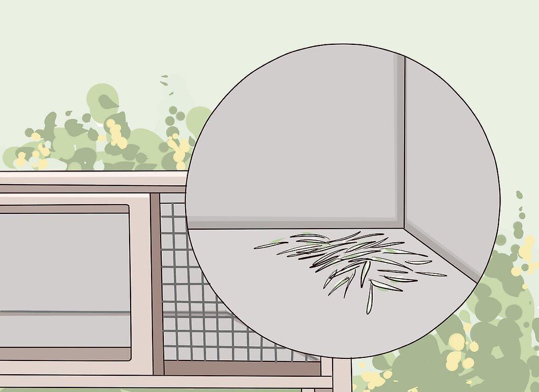 Step 4