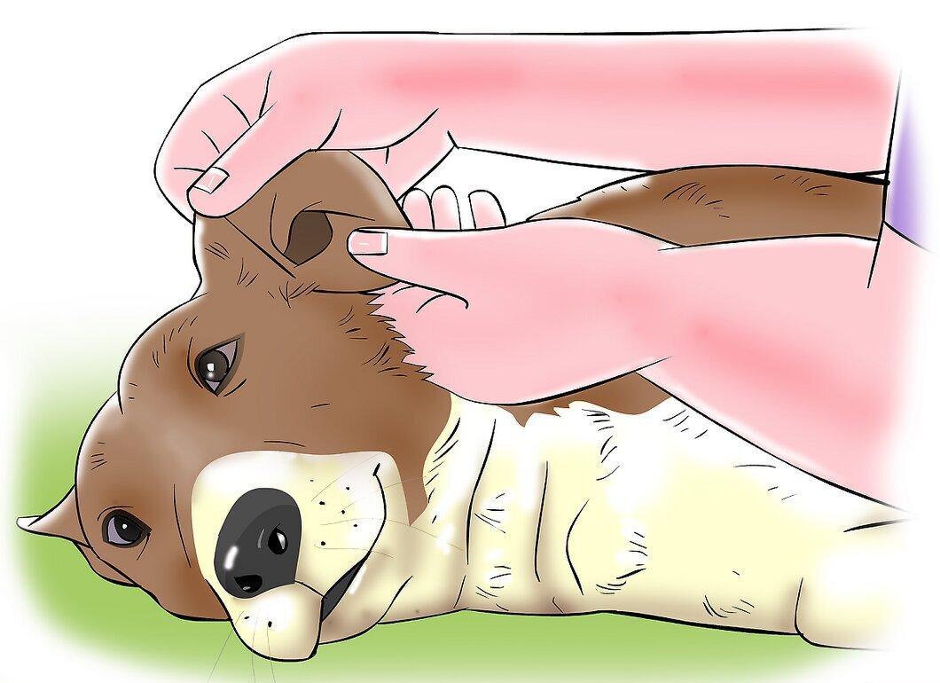 Step 4