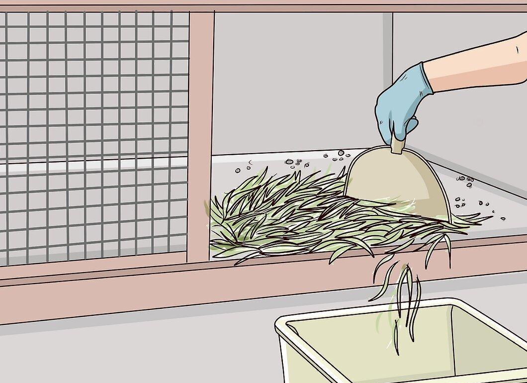 Step 4