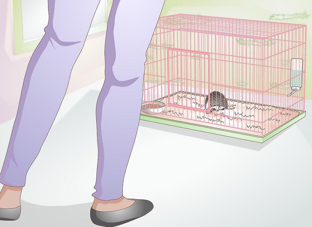Step 4