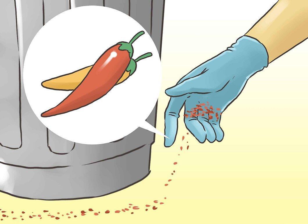 Step 5