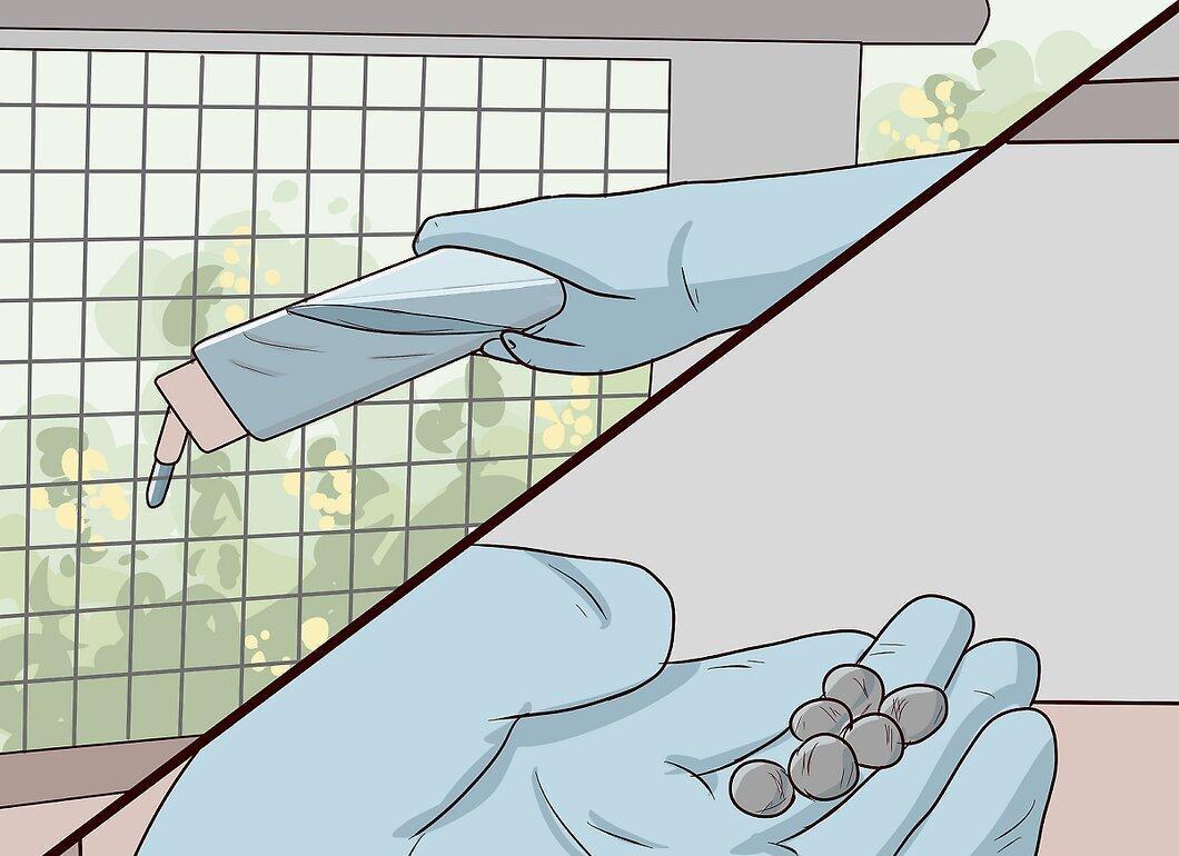 Step 5