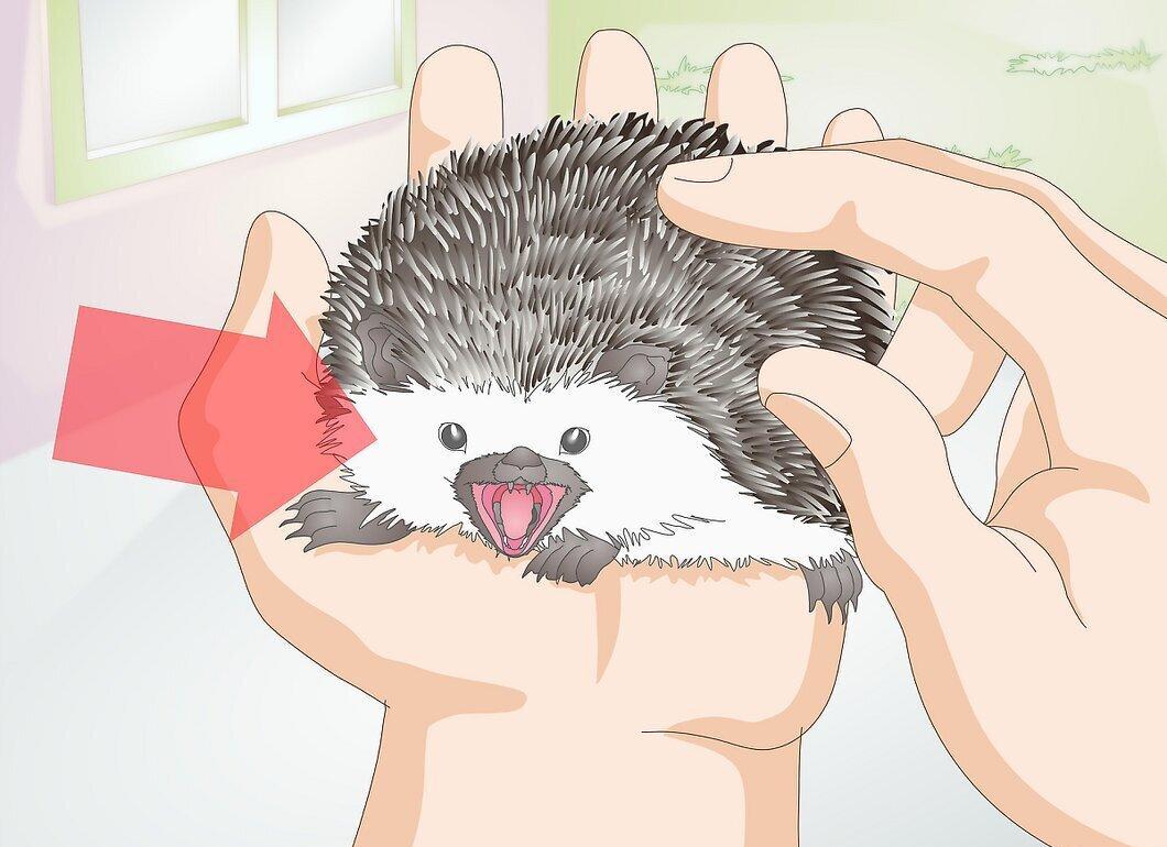 Step 5