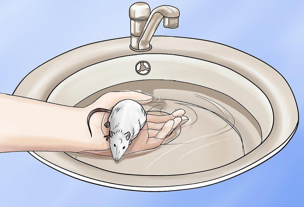 Step 5