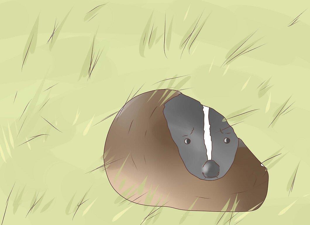 Step 5