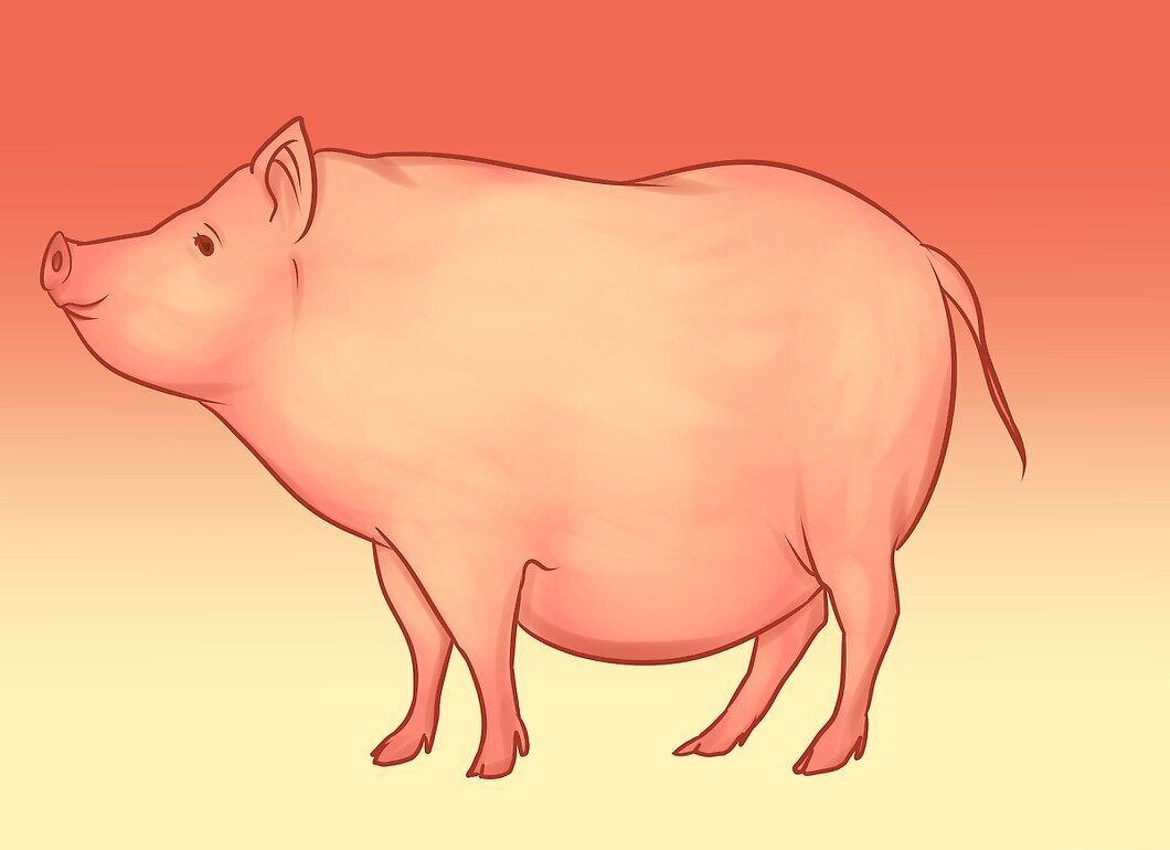 Step 5