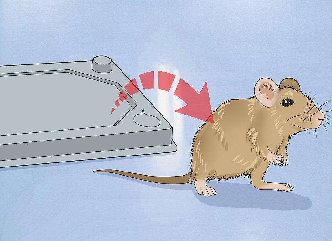 Step 5