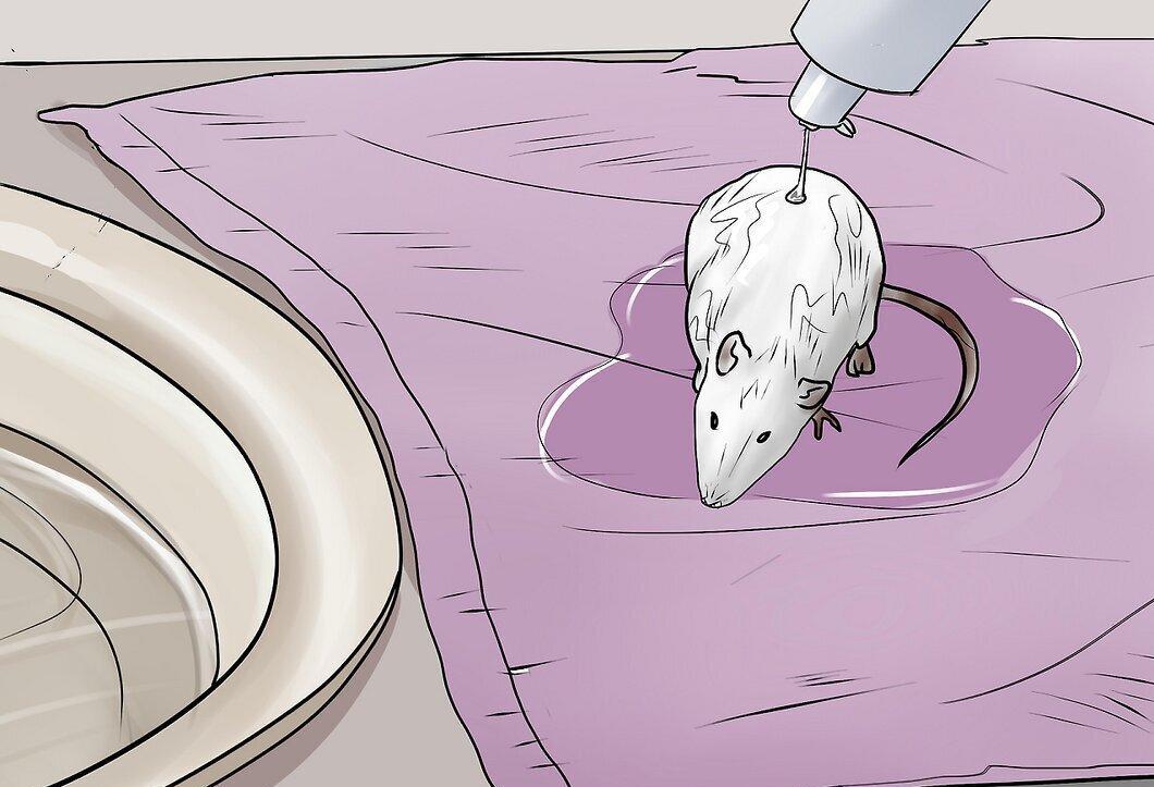 Step 6