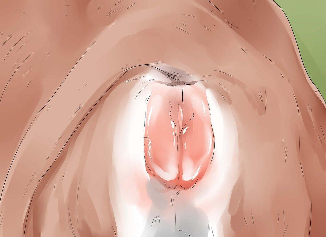 Step 6