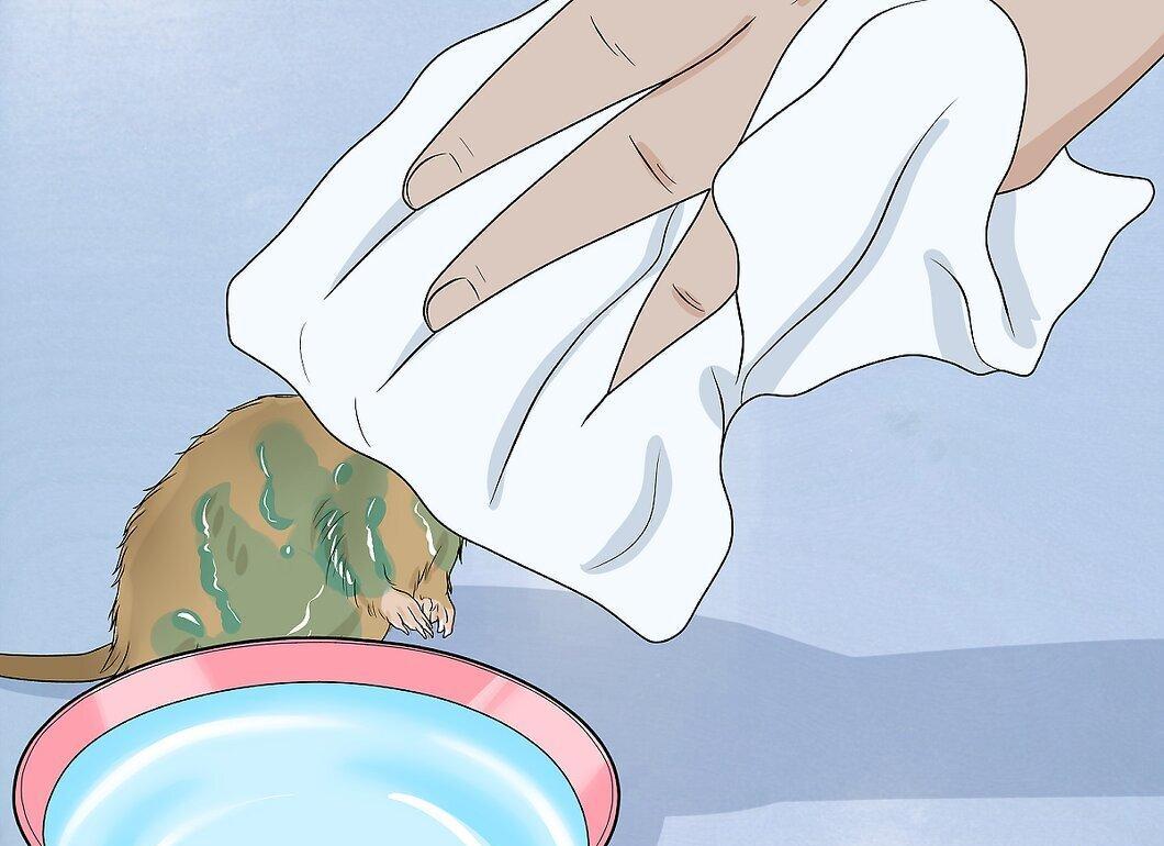 Step 6