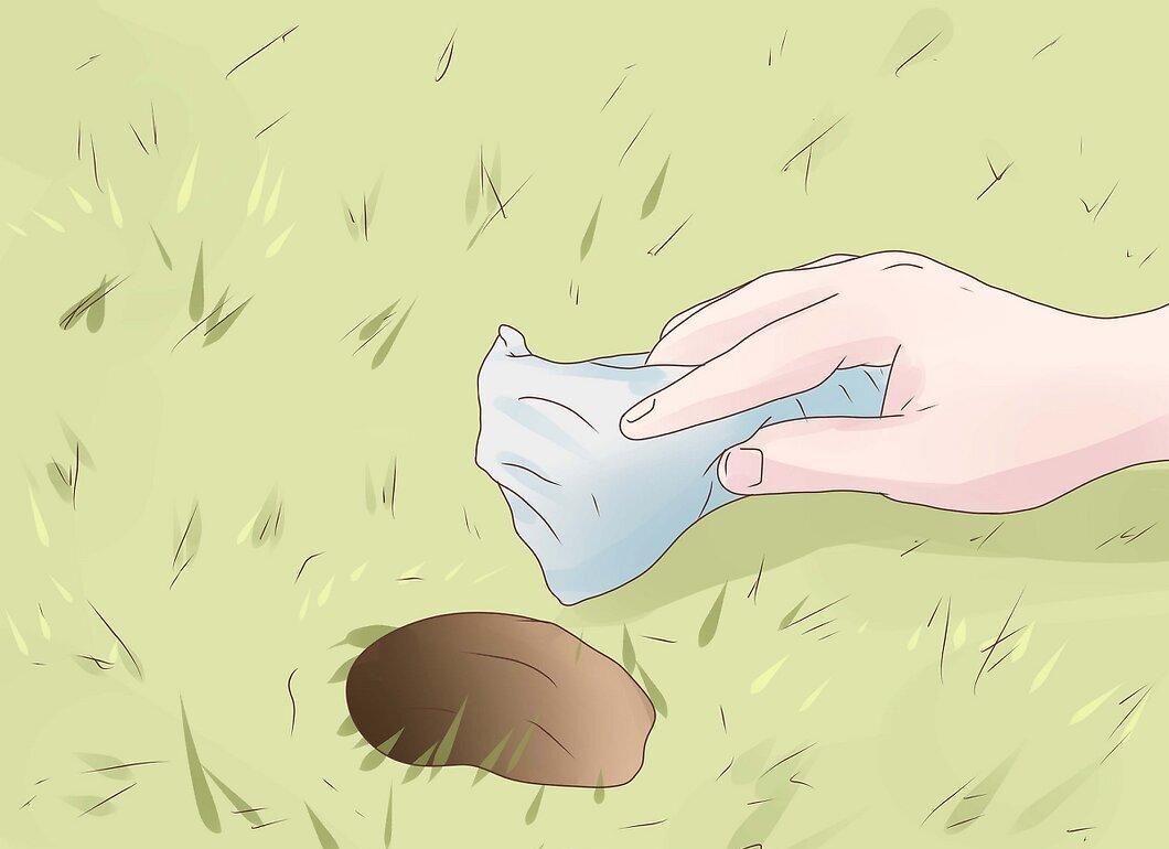 Step 6