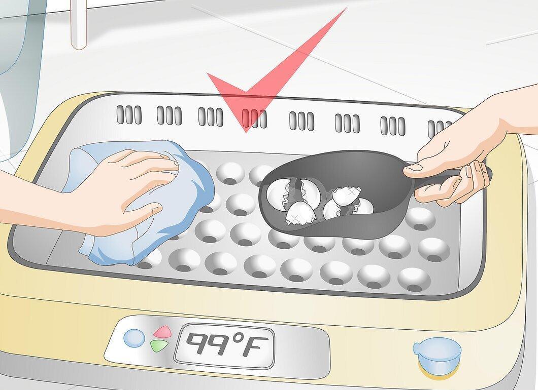 Step 6