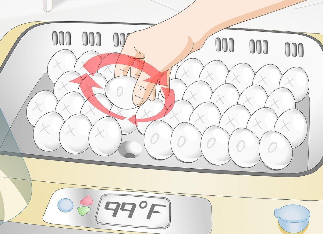 Step 7
