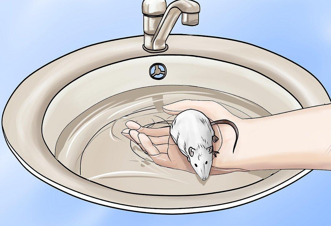 Step 7