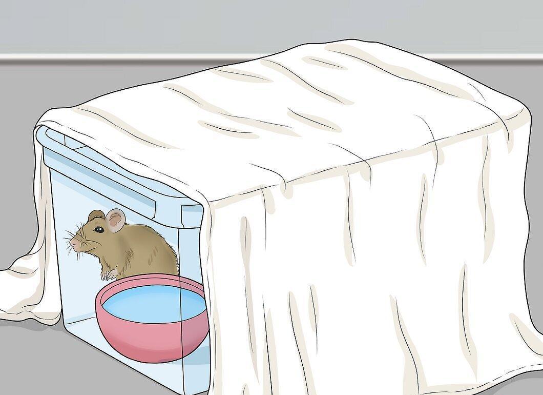 Step 7