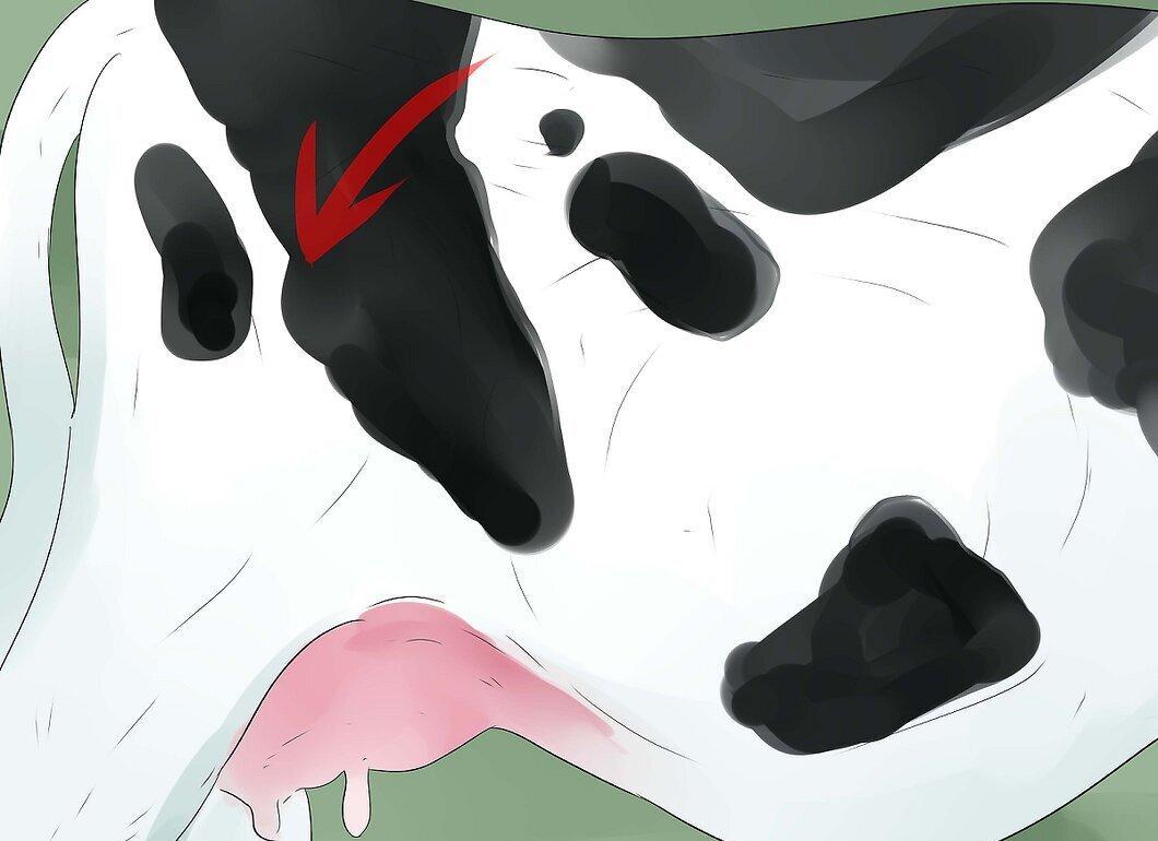 Step 7