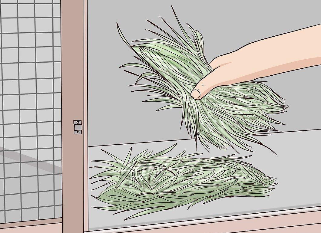 Step 8