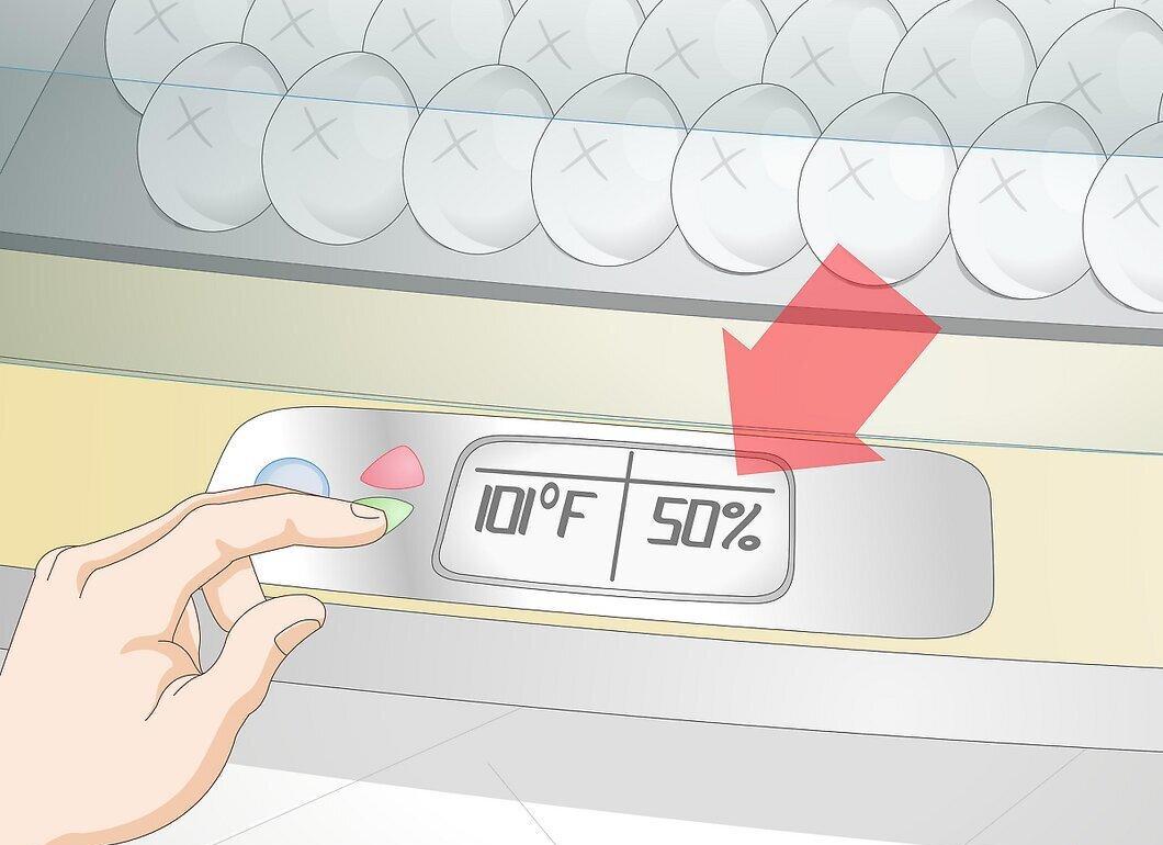 Step 8