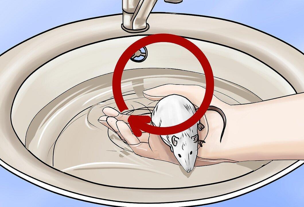 Step 8