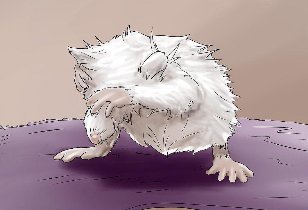 Step 9