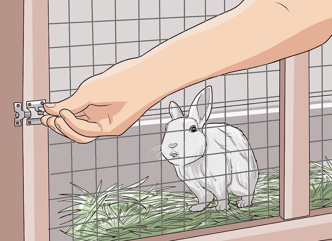 Step 9