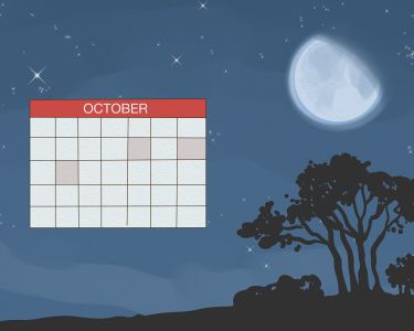 Celebrating Karva Chauth: Traditions and Tips