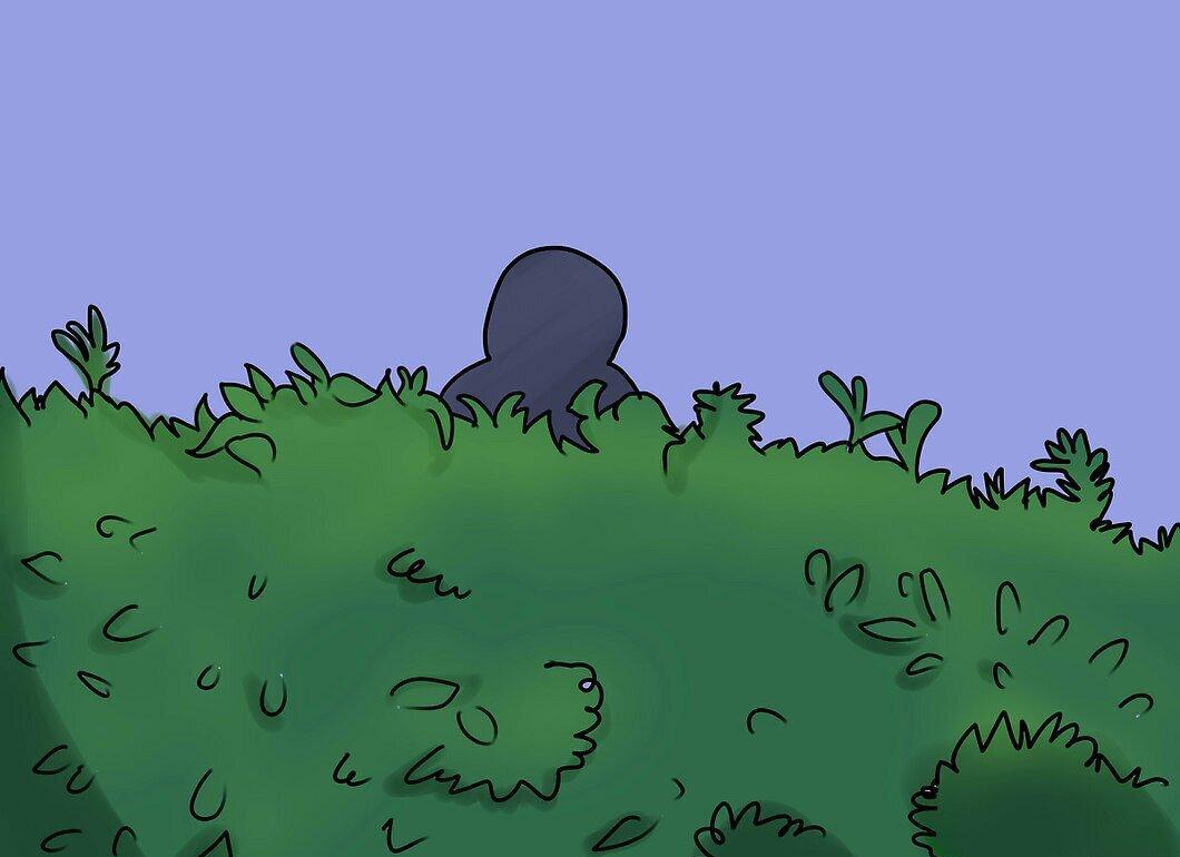 Step 15