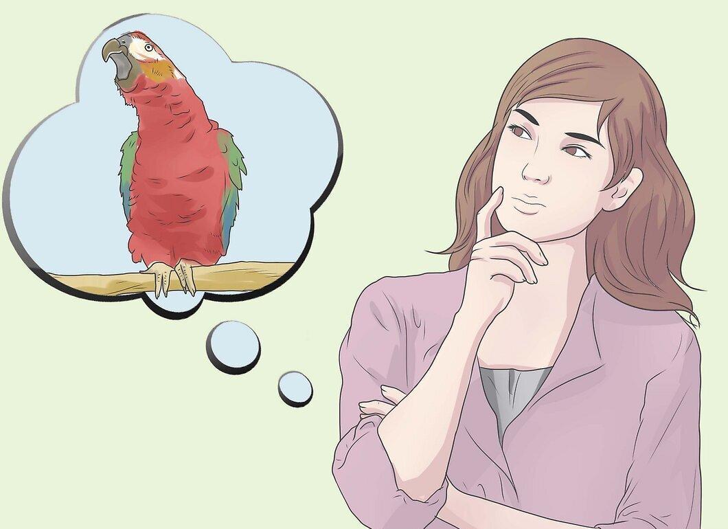 Step 5